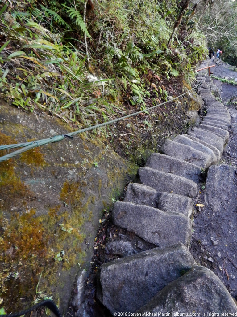 Narrow steep stone stair on Huayna Picchu with a fixed safety cable beside wet rock and vegetation.
