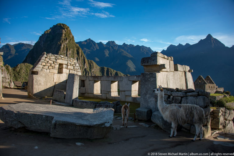 Several llamas stand beside massive fitted-stone structures with Huayna Picchu in the background.