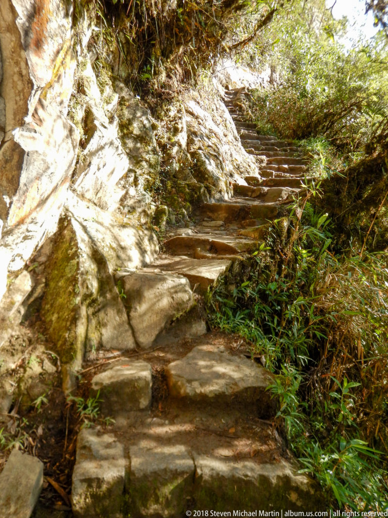 Sunlit irregular stone stair ascending between bedrock and dense vegetation on the Huayna Picchu route.