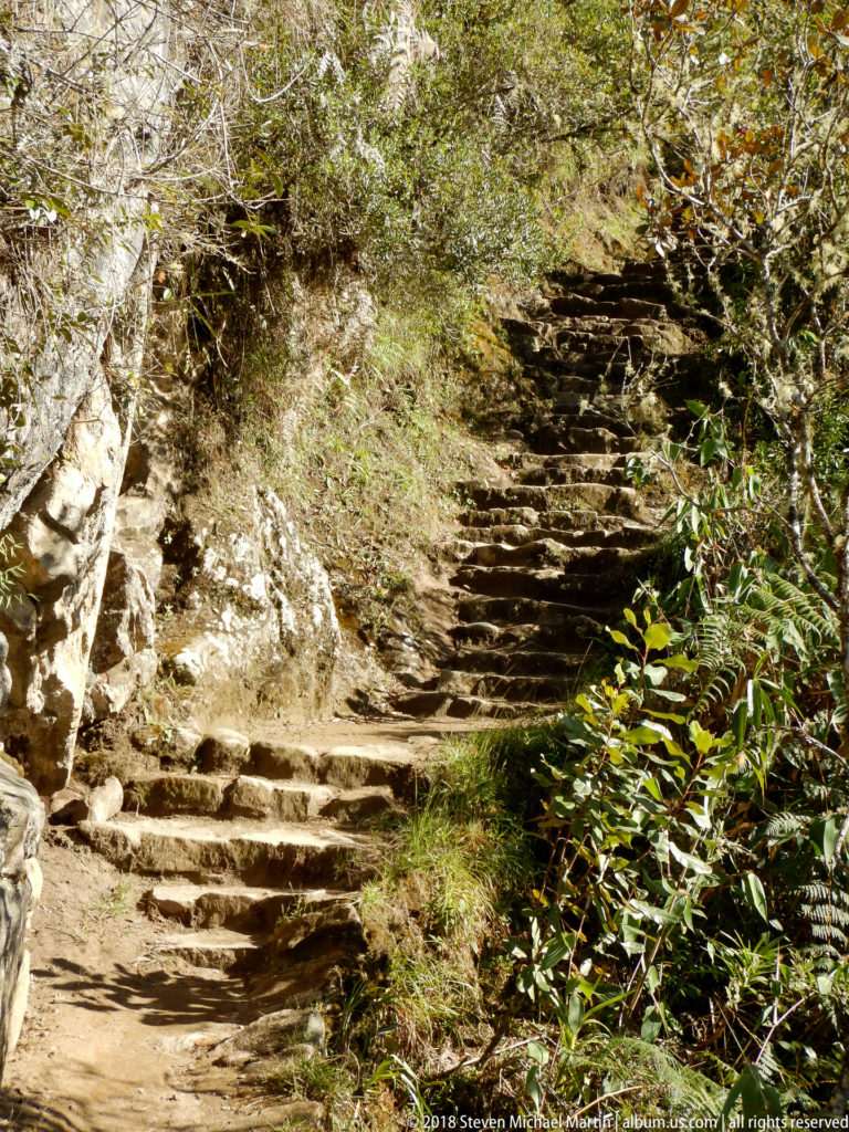 Long irregular stone stair climbing through shaded dense vegetation on the Huayna Picchu trail.