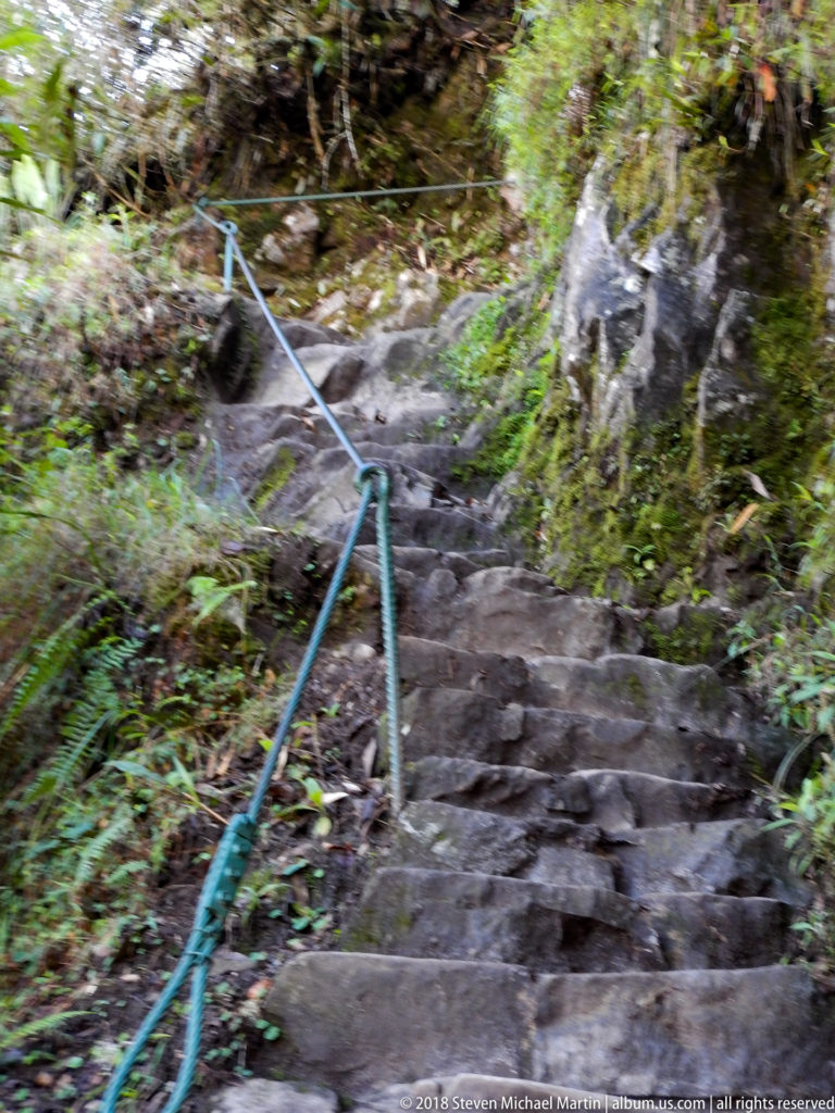 Steep stone steps with a metal cable and posts climb through vegetation on the Huayna Picchu route.