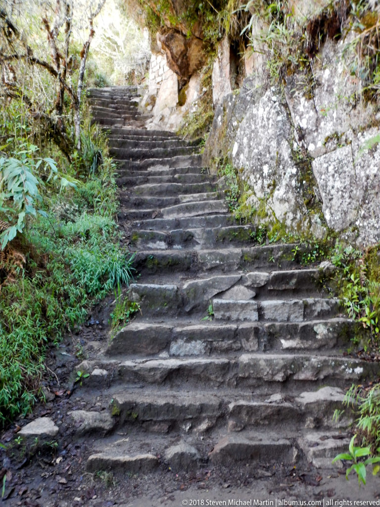 Long broad flight of irregular stone steps climbing through vegetation and rock on the Huayna Picchu trail.