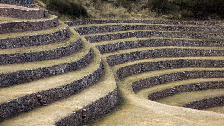 Moray