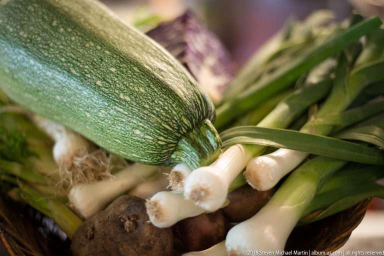 Large green zucchini or squash resting on scallions and root vegetables in a produce basket.