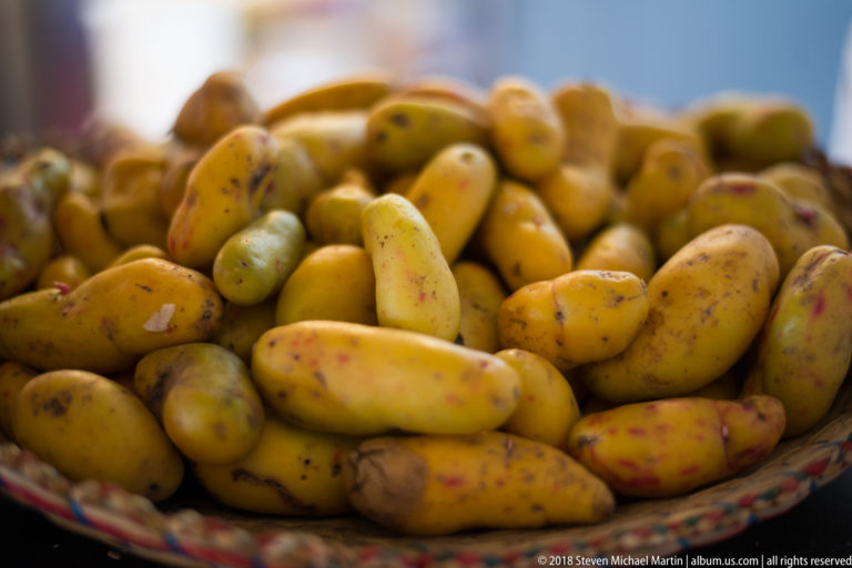Basket heaped with small yellow, ochre, greenish, and pink-speckled Andean potatoes.