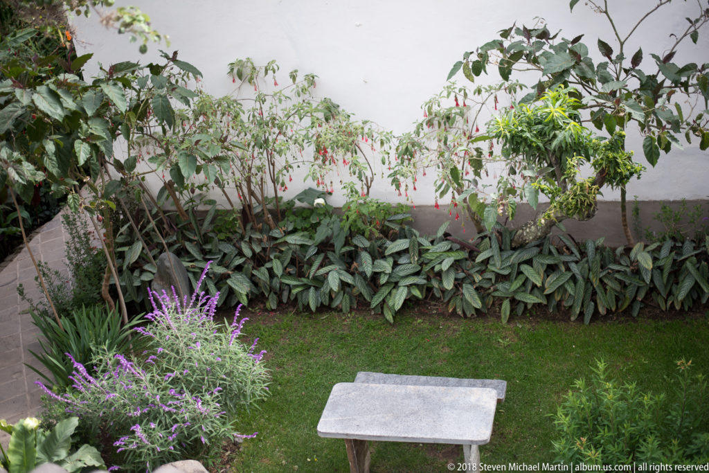 Compact garden courtyard with flowering shrubs, green lawn, broad-leaved plants, and a rectangular stone bench.