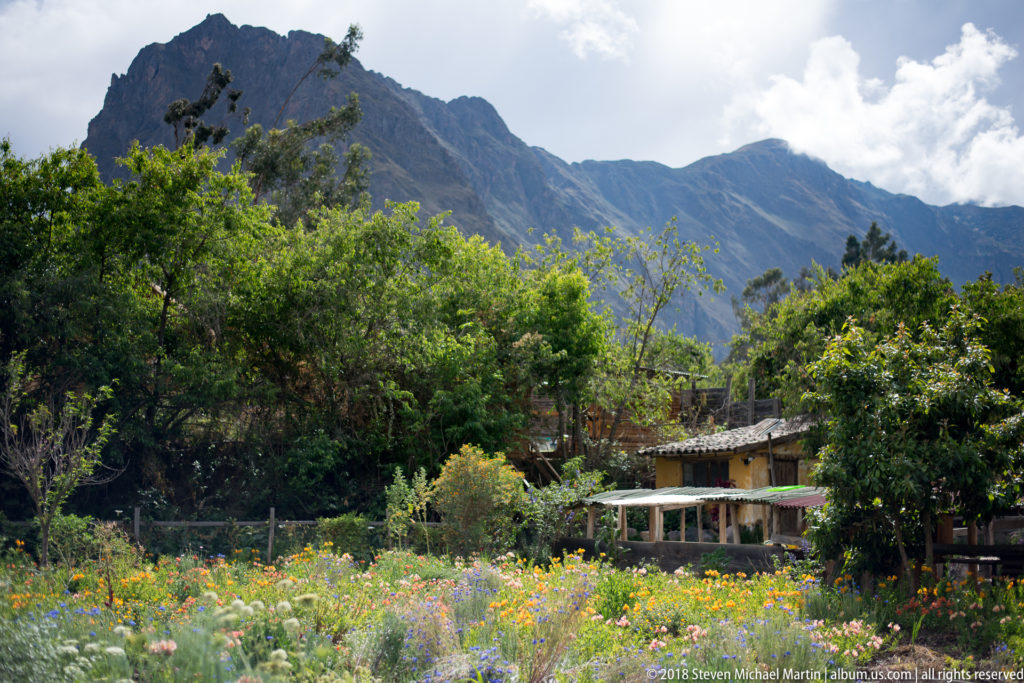 Colorful flower garden with trees and rustic buildings at the base of steep Andean mountains.