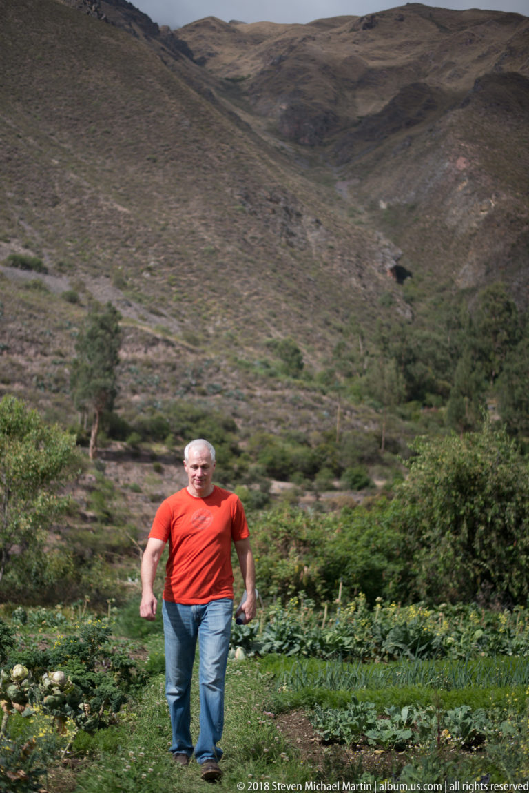 Man in a red shirt walking through green garden plots with a dry Andean hillside rising behind.