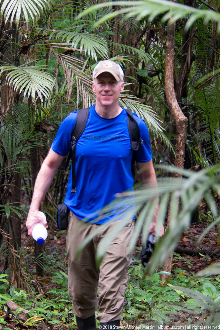 Person with backpack, camera gear, and water bottle walking through dense palm-filled rainforest understory.