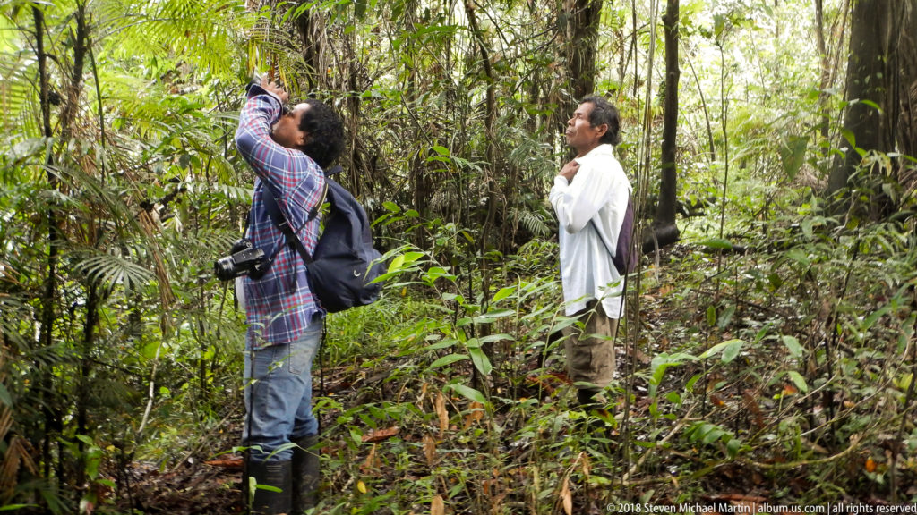 Two people in dense rainforest look upward, one using optical equipment while carrying a camera and backpack.