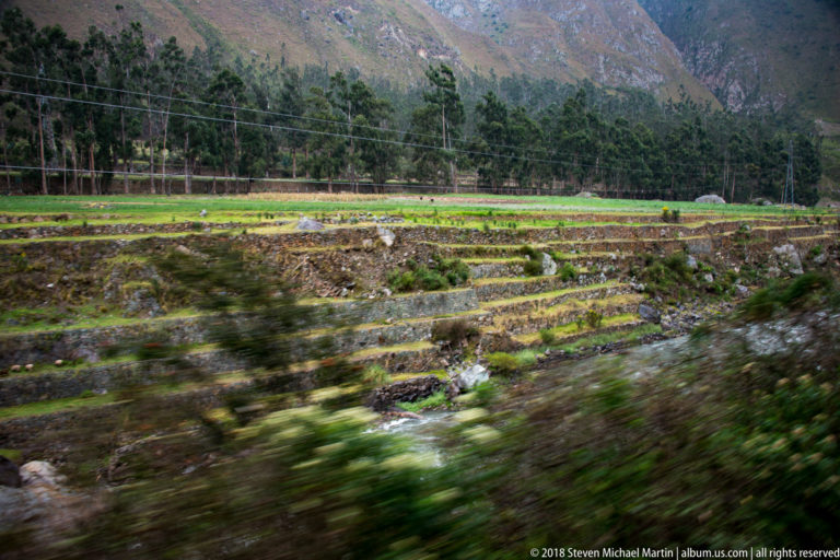 Terraced and rectangular farm plots below tall trees and mountains, viewed from a moving train.