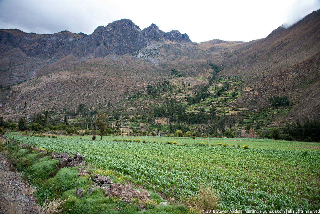 Bright green crop field below jagged rocky mountains and scattered trees in an Andean valley.