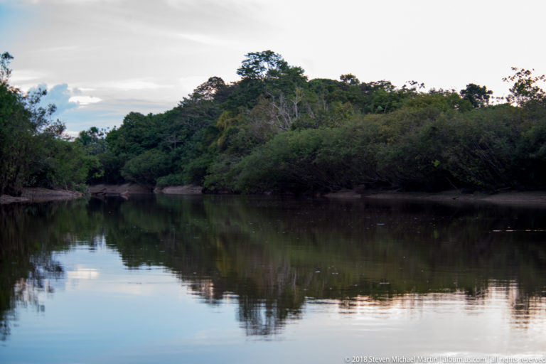 Quiet brown-water forest channel with dense trees on both banks and soft sky reflections across the surface.