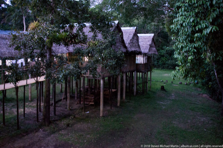 Palm-thatched wooden cabins elevated on tall posts beside a grassy forest clearing and raised access walkway.