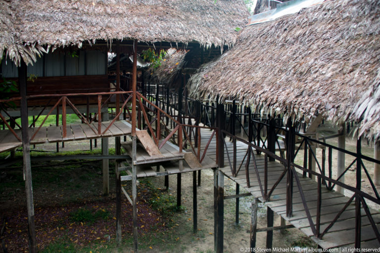 Raised wooden walkway with steps and rustic railings connecting several palm-thatched lodge buildings on stilts.