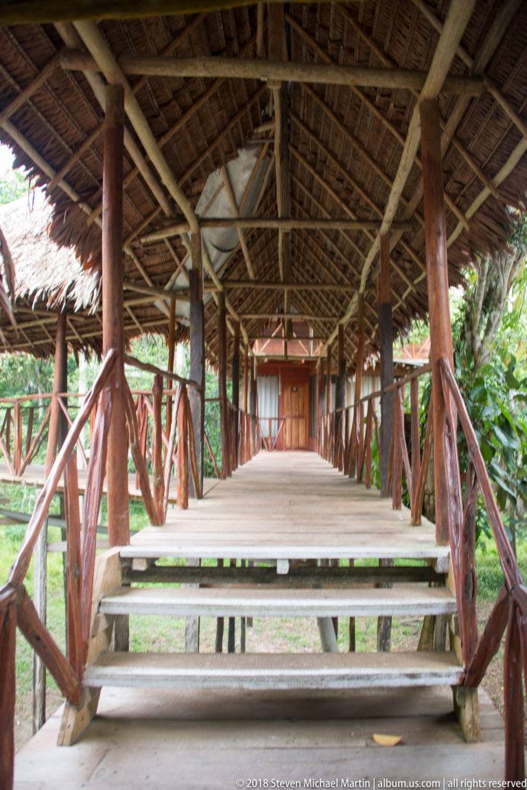 Wide wooden steps leading into a long palm-thatched lodge walkway with rustic branch railings on both sides.
