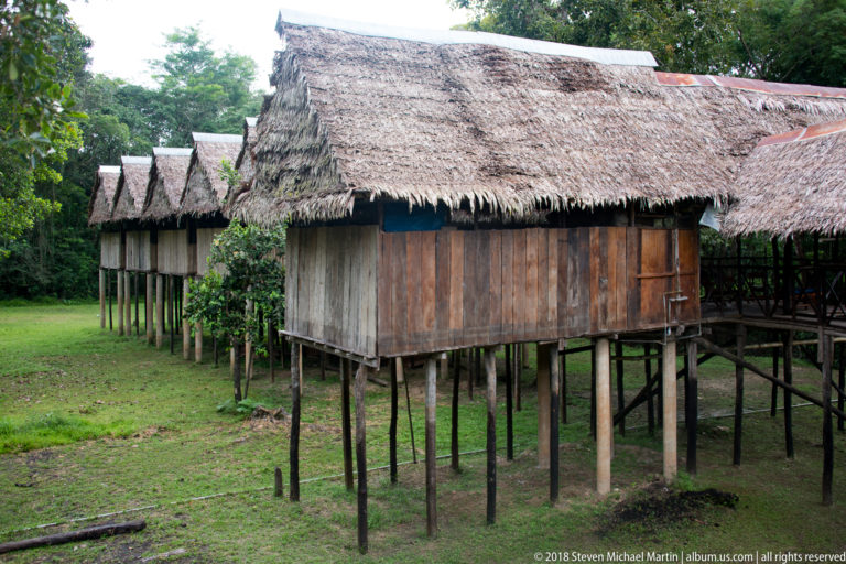 Palm-thatched wooden cabins on stilts beside a grassy clearing, with forest vegetation enclosing the lodge grounds.