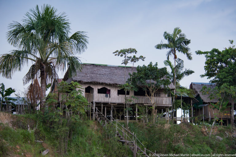 Raised palm-thatched wooden dwelling among palms and vegetation, with steps descending toward the riverbank.