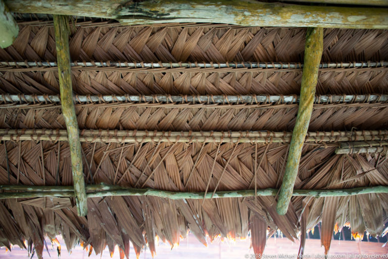 Underside of a palm-thatched roof with round timber rafters, crosspieces, woven leaves, and uneven thatched eaves.