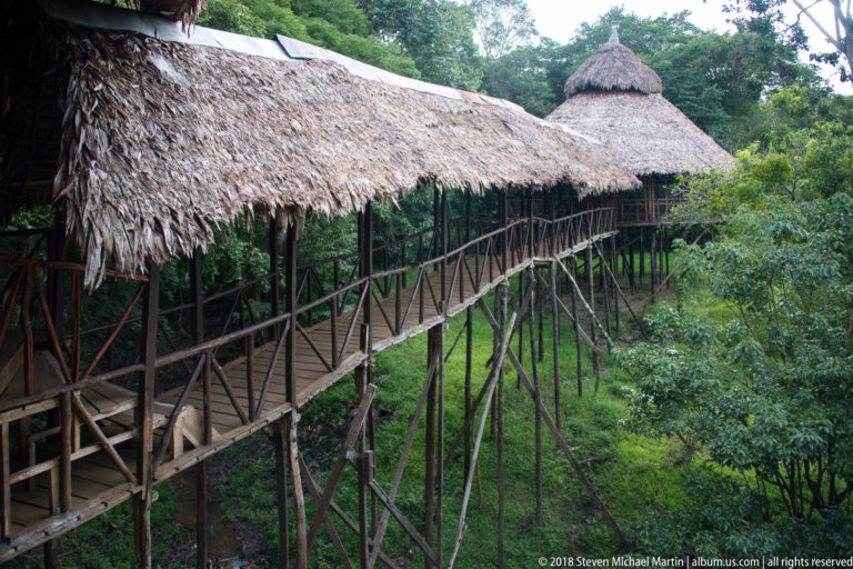 Long palm-thatched wooden walkway elevated on posts above vegetation, with rustic railings leading toward a lodge pavilion.