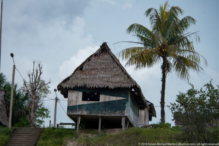 Raised riverside house with steep palm-thatch roof beside a coconut palm and forest vegetation.