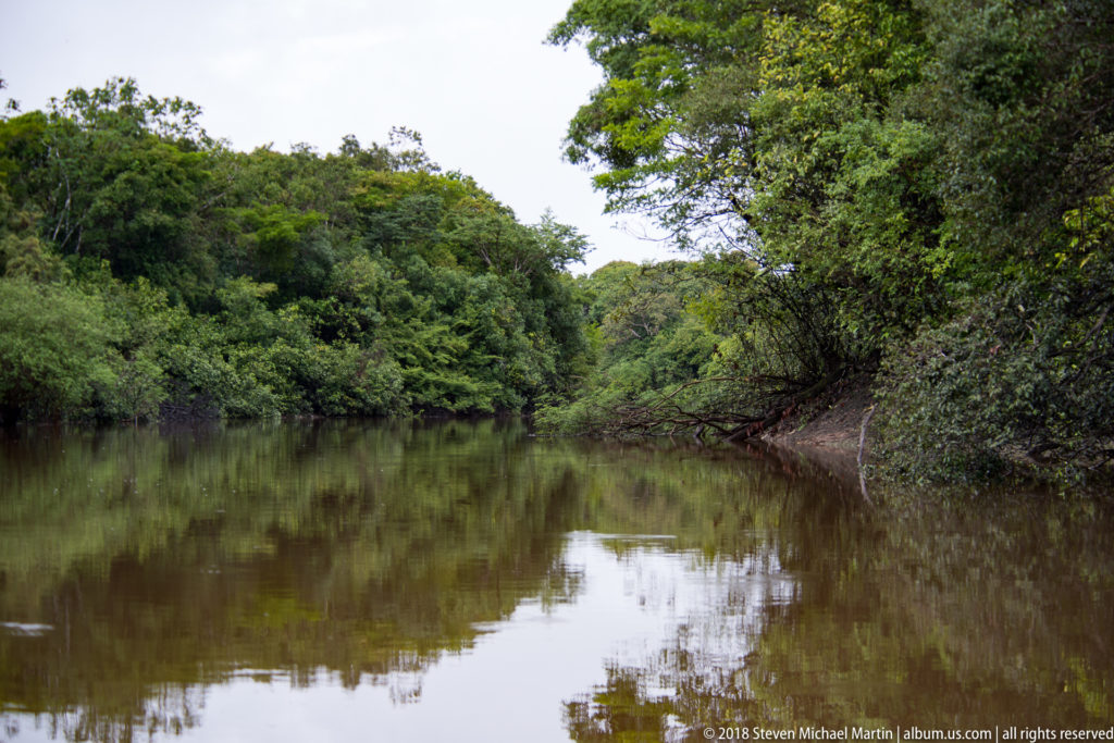 Calm brown river channel bordered by dense green tropical forest and reflected foliage under an overcast sky.