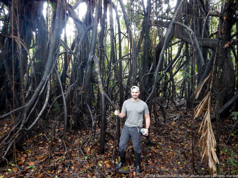 Traveler standing amid dense dark roots, trunks, and hanging vegetation in Amazon forest.
