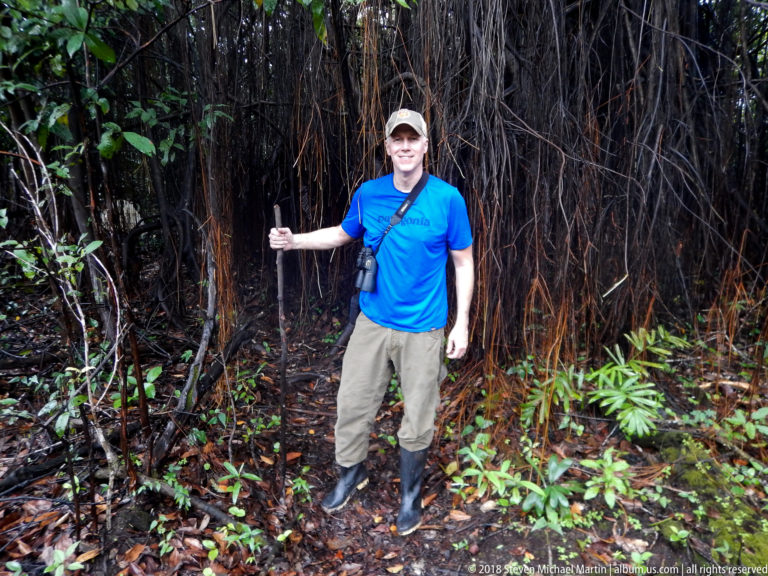 Full-body traveler beside a broad curtain of aerial roots on a damp forest floor.