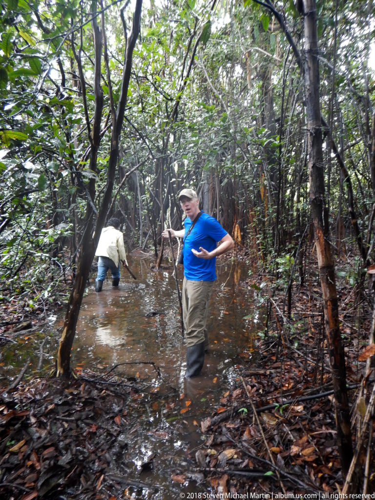 Two travelers wading through knee-deep brown water in dense flooded Amazon forest.