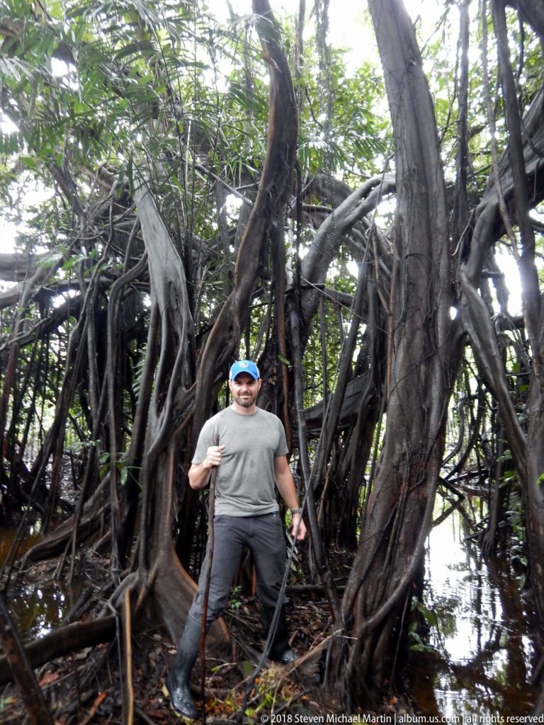 Traveler beneath towering intertwined roots and trunks beside standing water in Amazon forest.
