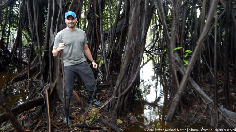 Traveler standing among massive intertwined roots and shallow brown floodwater in dense Amazon forest.