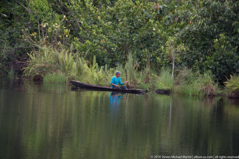 Person in a turquoise shirt paddles a narrow wooden canoe beside dense riverside vegetation.