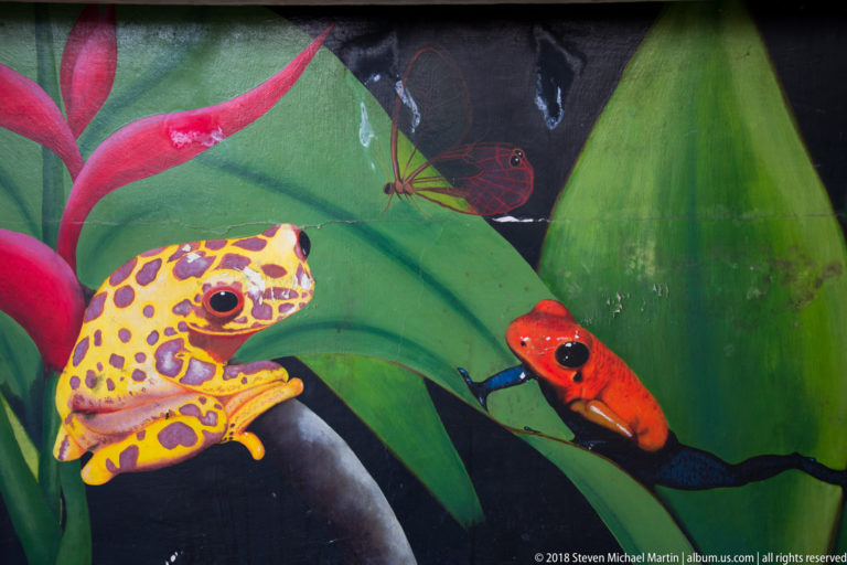 Mural detail of yellow-spotted and red frogs among large green leaves with an insect above.