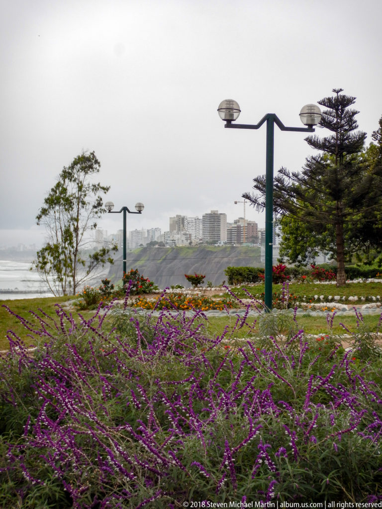 Purple flowering plants and park lamps in the foreground with hazy coast and high-rise skyline in the distance.