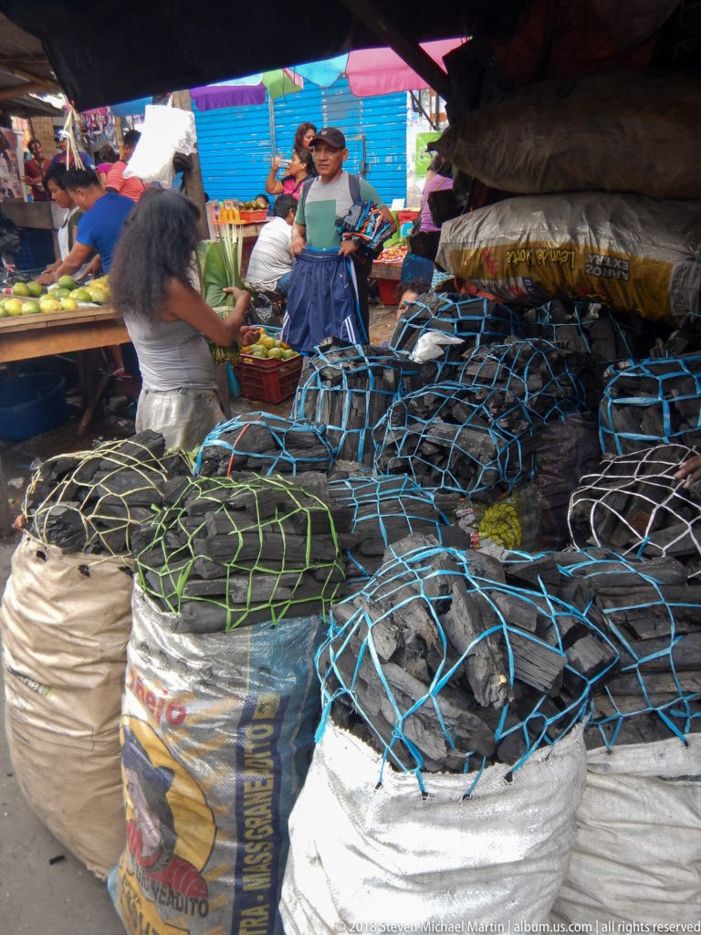 Large turtles are confined in woven sacks under blue and green rope netting at a market stall.