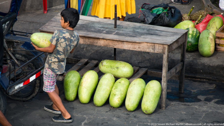 Boy holds a very large pale-green oblong gourd beside a row of similar produce under a wooden market table.
