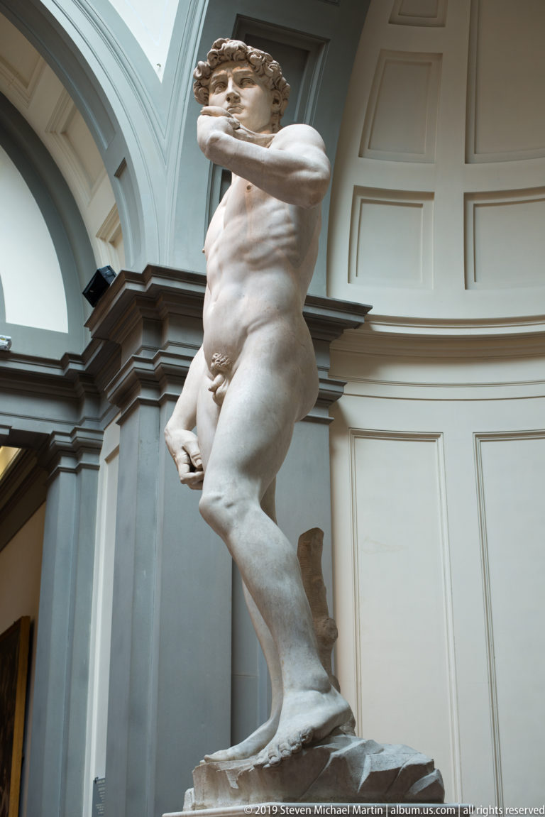 Low left-side view of Michelangelo’s David, with the bent left arm crossing beneath the face inside the Tribune.