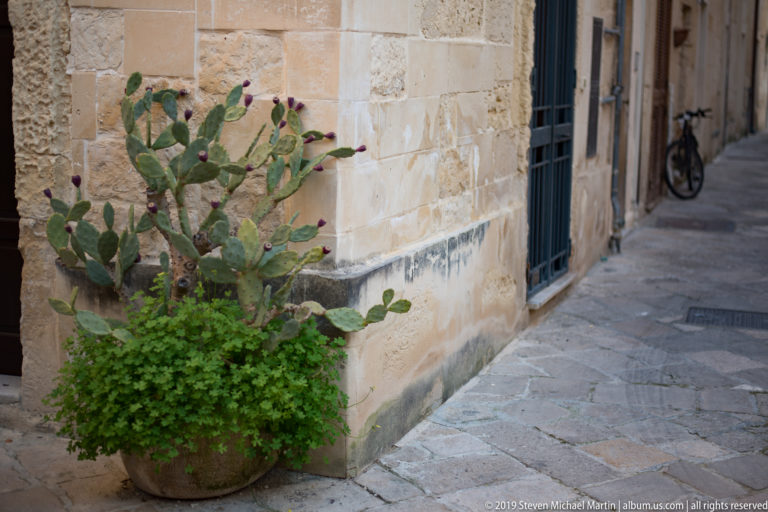 Prickly pear cactus and green foliage in a terracotta planter at the corner of a limestone lane, with bicycle in distance.