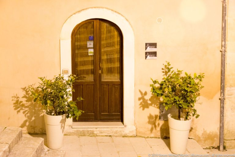Arched dark wooden doorway in a pale wall, flanked by two tall white planters containing leafy citrus plants.