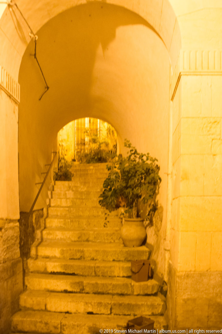 Stone staircase rising beneath a broad vaulted passage toward an iron gate, with railings and a large potted plant.
