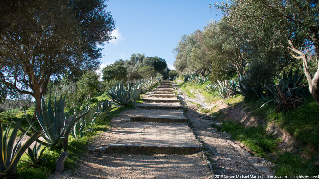Long stepped gravel path climbing between olive trees and agaves through the Segesta archaeological landscape.