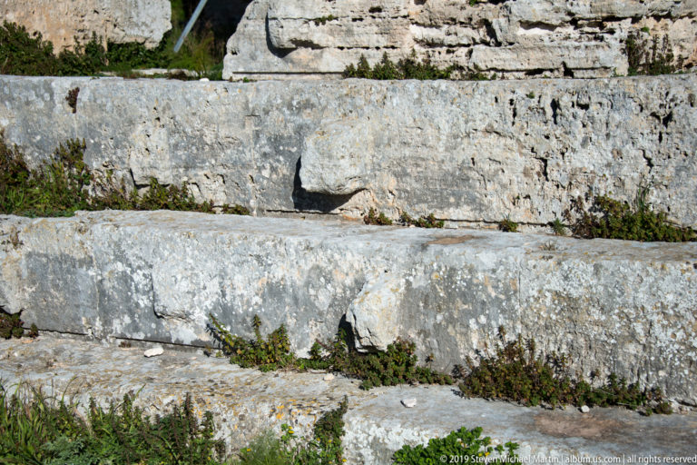 Close view of worn limestone steps and joints with small plants growing across the Temple of Segesta’s platform.