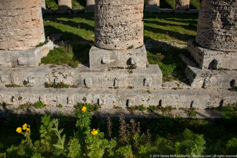 Weathered column bases and stepped stone platform at the Temple of Segesta, with small plants growing between blocks.