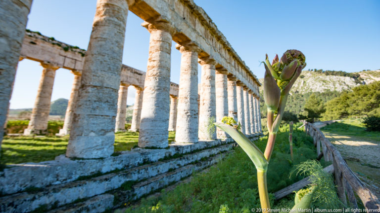 Green flowering agave-like stalk in the foreground beside the long Doric colonnade of Segesta’s temple.