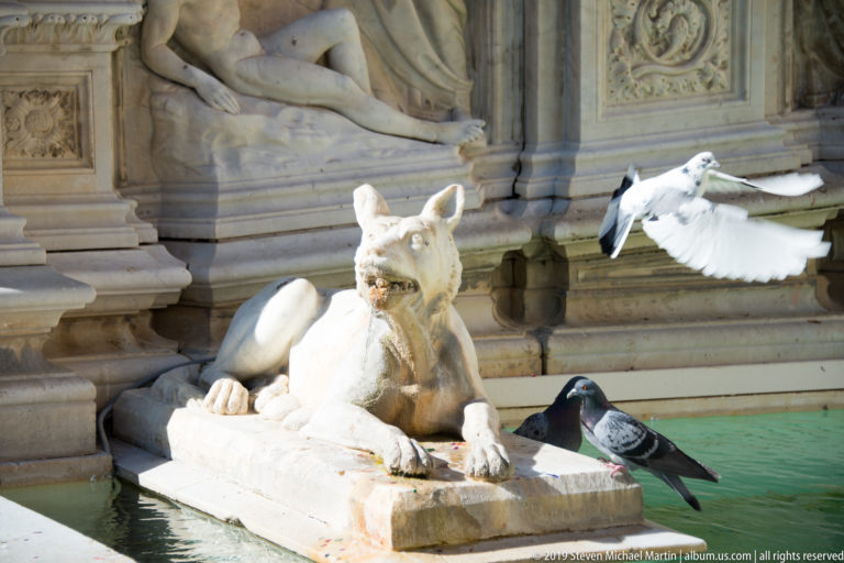 Stone she-wolf reclining beside green fountain water as pigeons perch nearby and one bird flies past with wings spread.