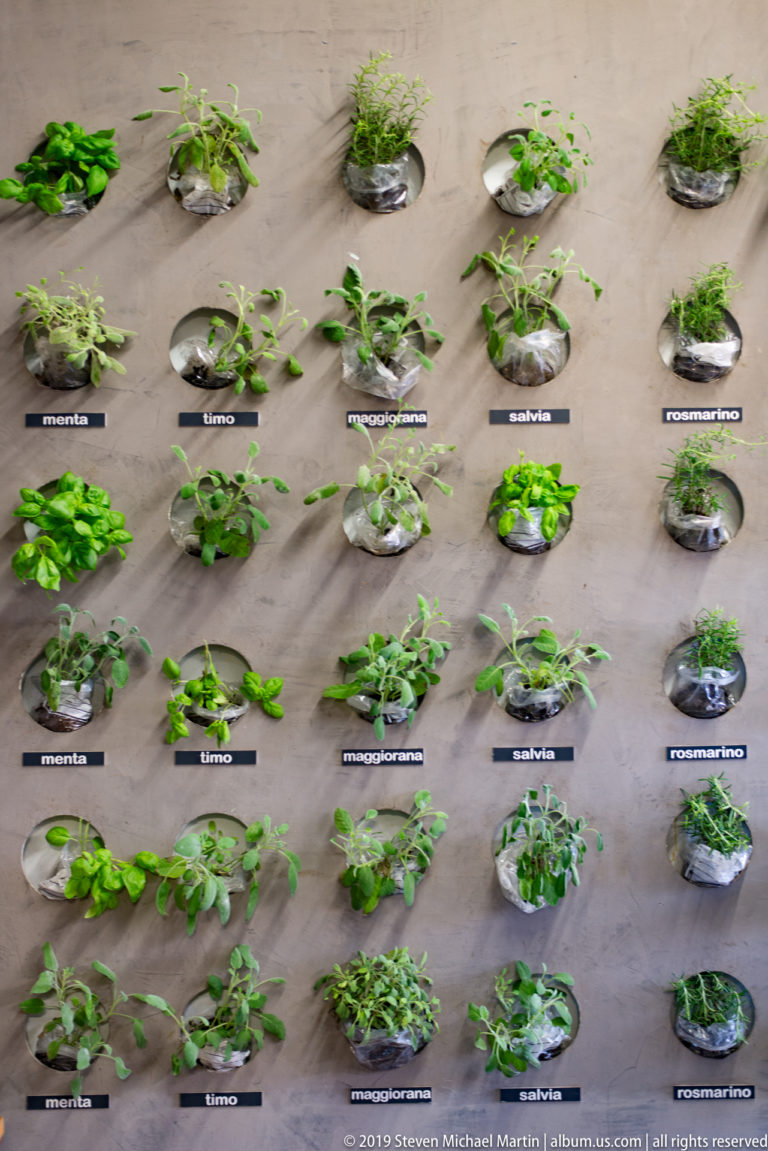 Grid of small wall-mounted planters filled with labeled green culinary herbs on a pale wall.