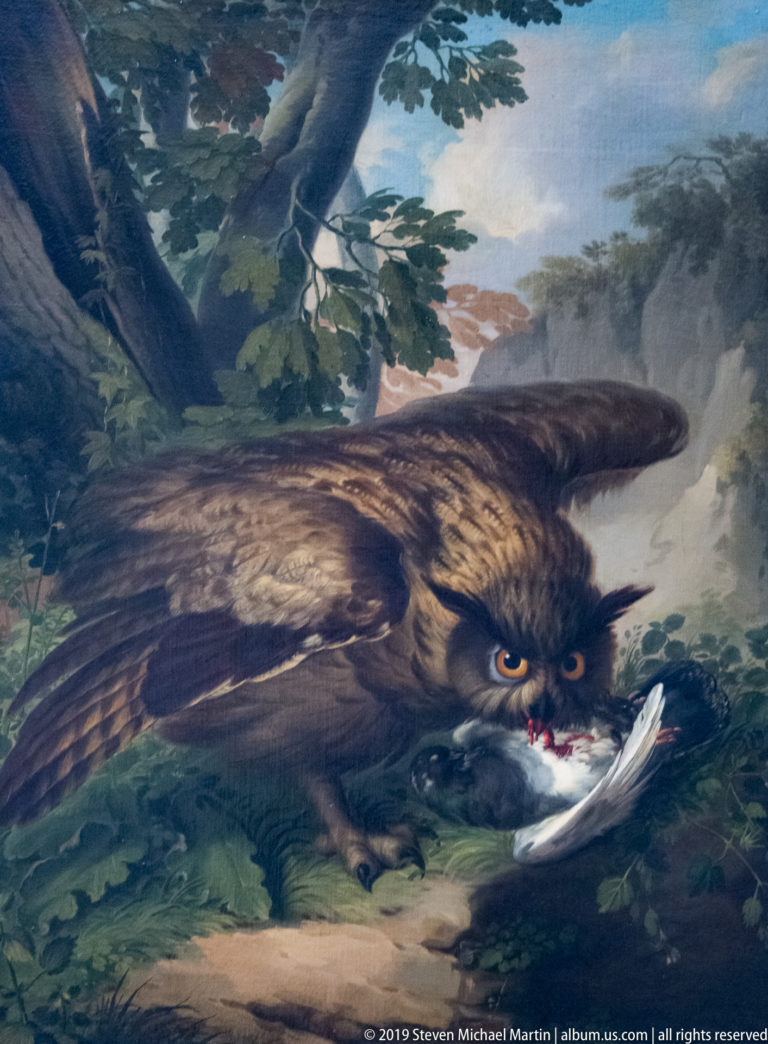 Large brown eagle spreads its wings while pinning a white bird beneath its talons in a wooded landscape.