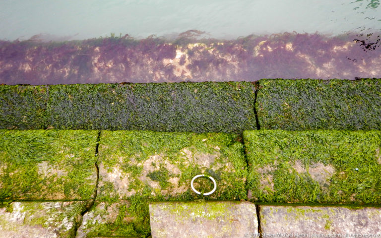 Moss-covered stone steps descending into canal water, with a metal mooring ring embedded in the green-stained masonry.