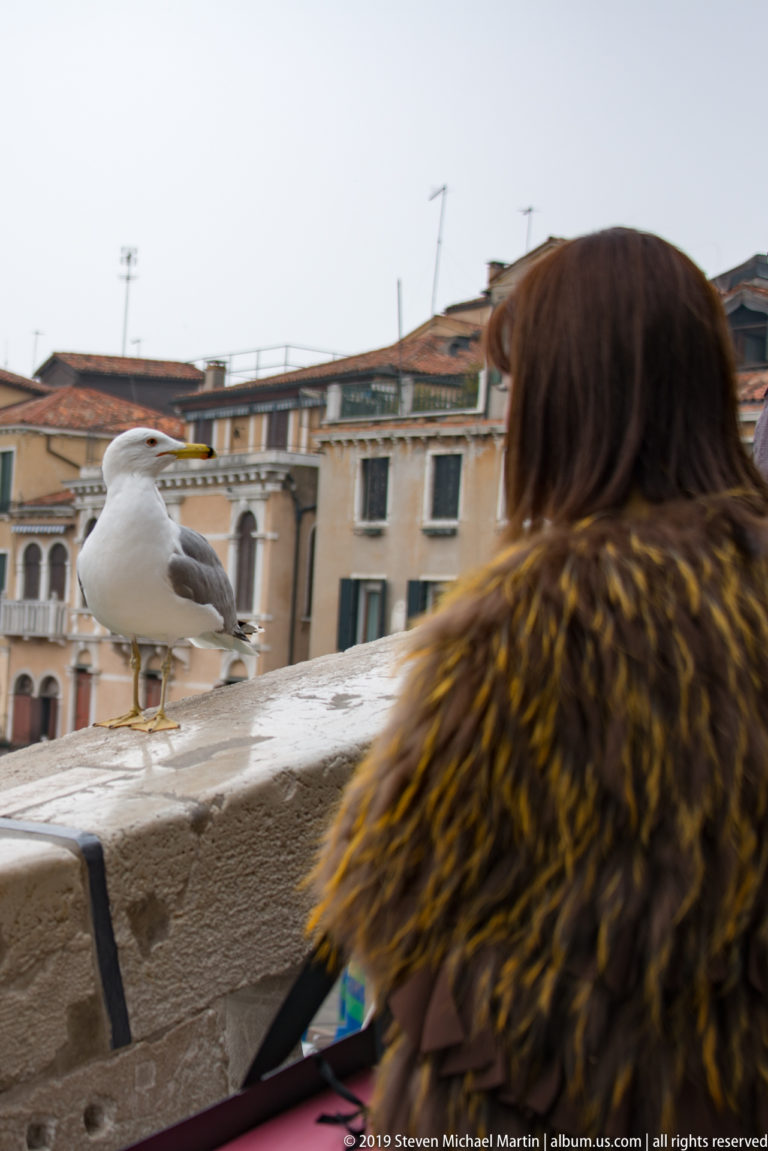 Gull perched on a stone parapet beside a visitor in a fur-trimmed coat, with Venetian buildings beyond.