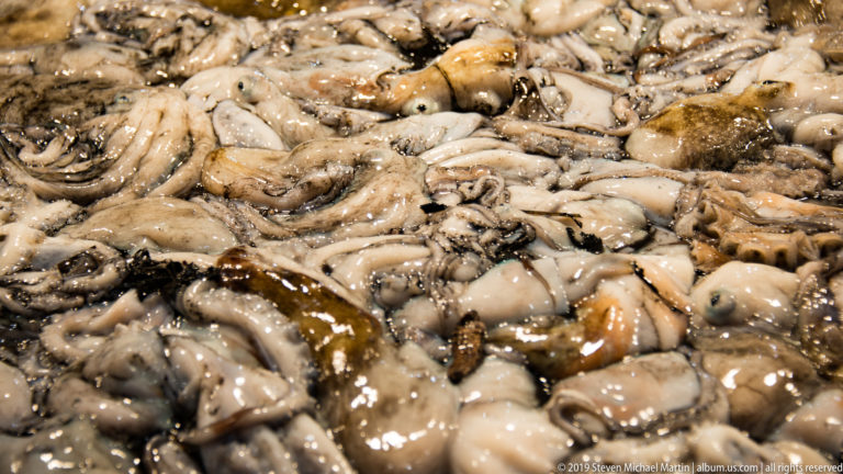 Close-up of small fresh cephalopods piled together on a seafood counter, with tentacles and mottled bodies filling the frame.